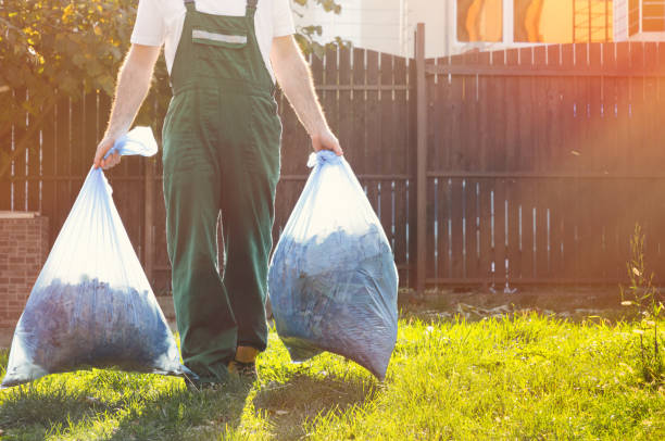 Best Junk Hauling Services  in Hallsville, MO