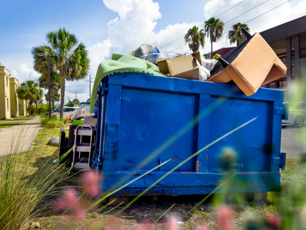 Best Basement Cleanout Services  in Hallsville, MO